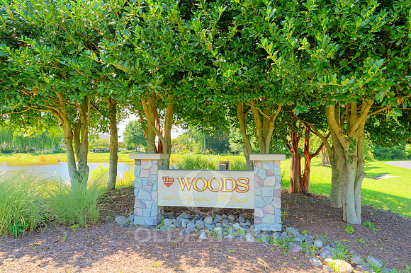 THE-WOODS-AT-OYSTER-ROCK-SIGN-PRINT-005