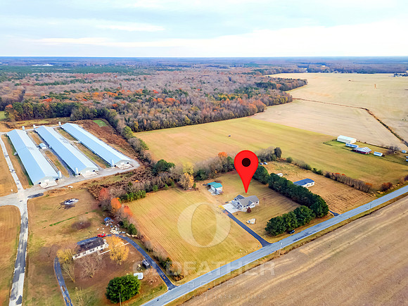 WEBB-FARM-11169-PRINT-006B