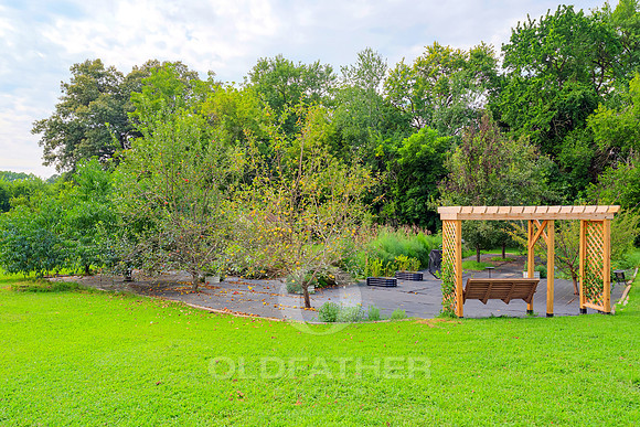 CARPENTER-7179-PRINT-026
