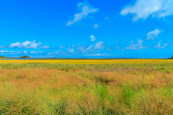 BIGMARSH-PRINT-020