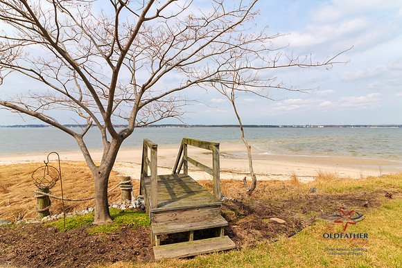 INDIANRIVER-PRINT-012