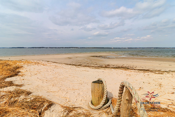 INDIANRIVER-PRINT-013
