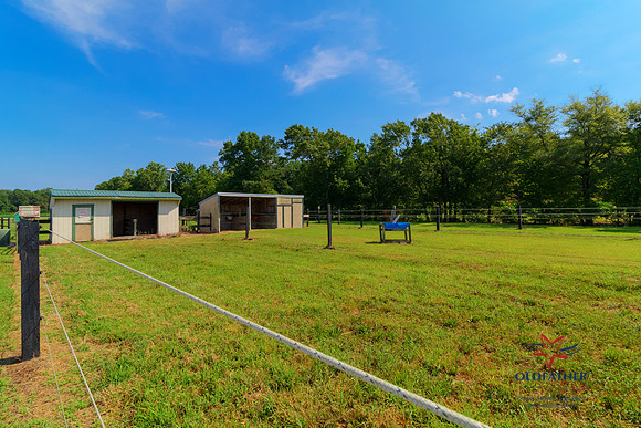 CIRCLEJFARM-PRINT-039