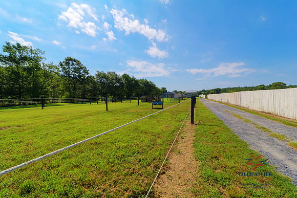 CIRCLEJFARM-PRINT-038