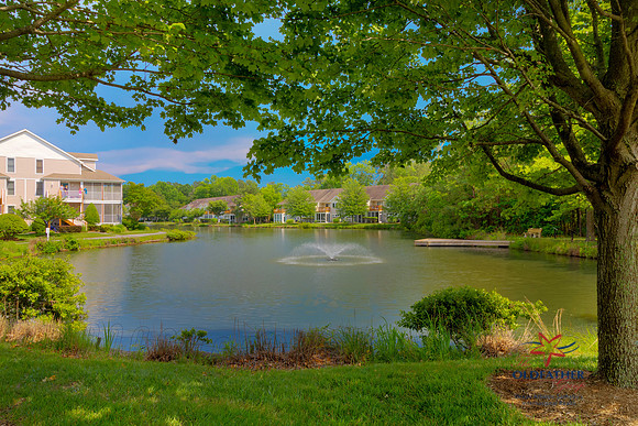 PINELAKE-PRINT-006
