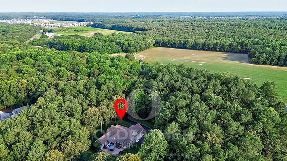 05-30509 hollymount arrow-1