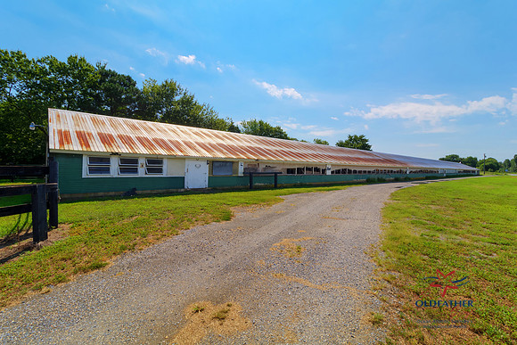 CIRCLEJFARM-PRINT-036