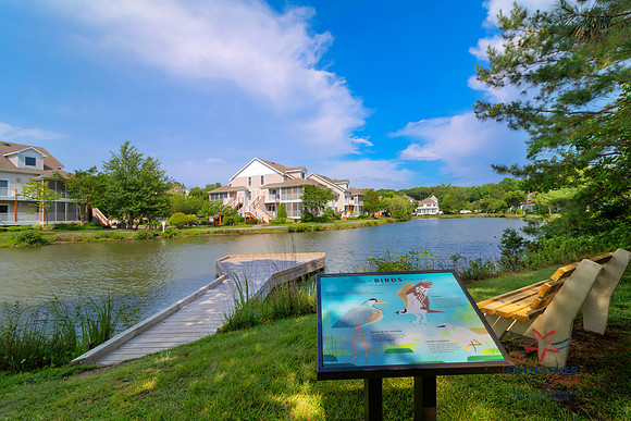 PINELAKE-PRINT-009
