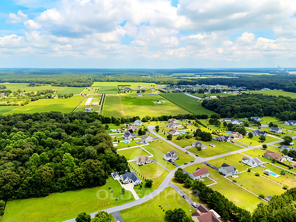 COUNTRY-MEADOW-25951-PRINT-006