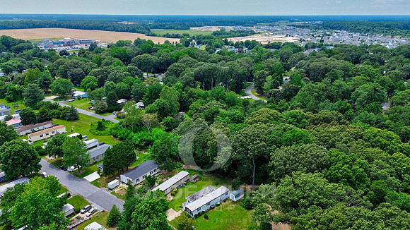 26-17170 PINE WATER LEWES-26