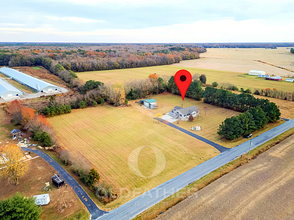 WEBB-FARM-11169-PRINT-007B