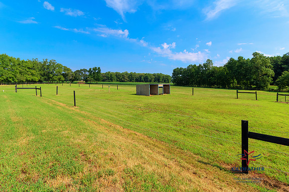 CIRCLEJFARM-PRINT-041