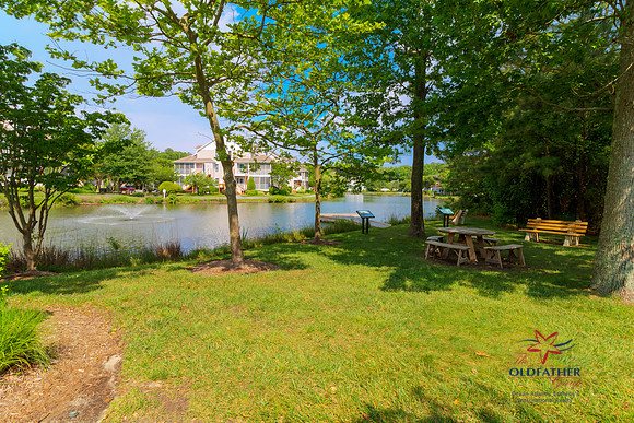 PINELAKE-PRINT-007