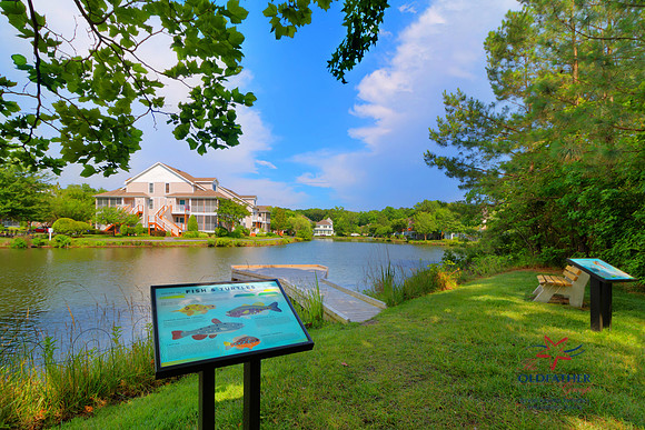 PINELAKE-PRINT-008