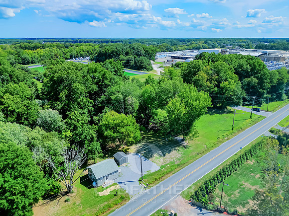SAVANNAH-20459-PRINT-009