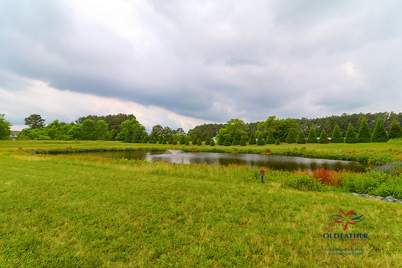 COVEREDBRIDGE-PRINT-006
