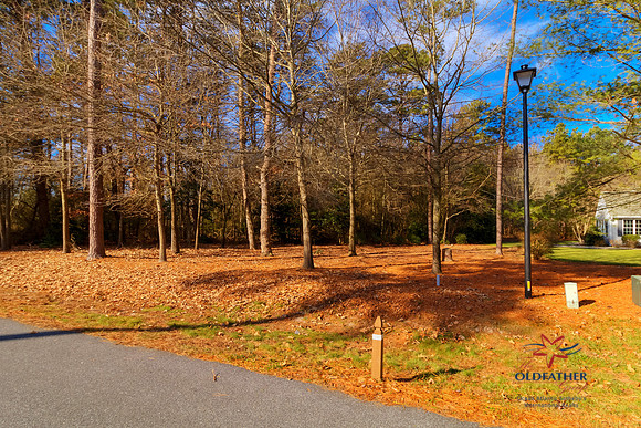 DEEPCREEK-PRINT-008