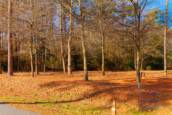 DEEPCREEK-PRINT-009