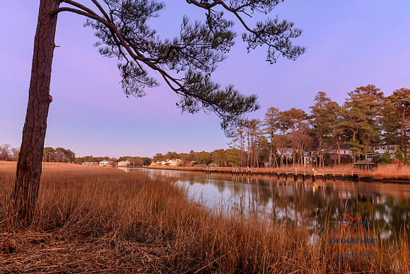 GLOUCESTER-41341-TL-PRINT-020
