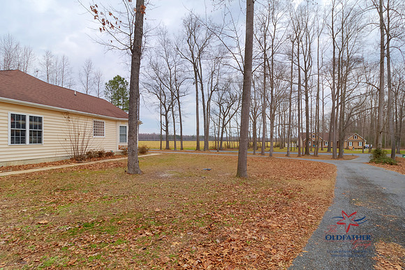 COOLSPRING-PRINT-007