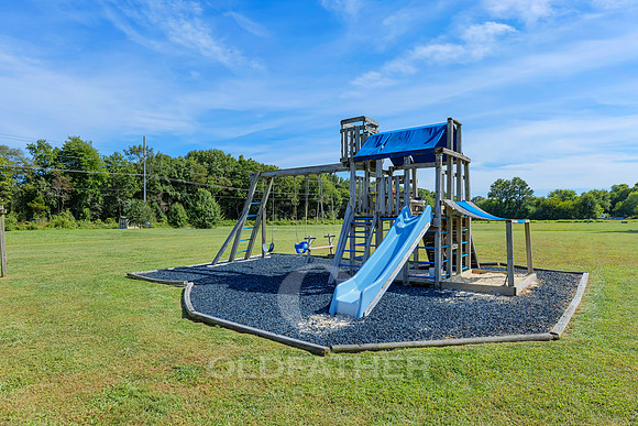 GREENWOOD-8844-PRINT-019