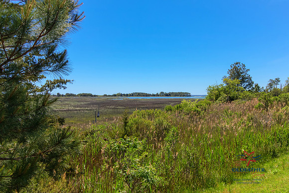 SGLOUCESTER-PRINT-016
