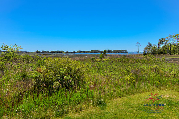 SGLOUCESTER-PRINT-017