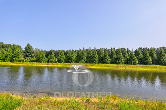 27-35657 kiawah ext-11