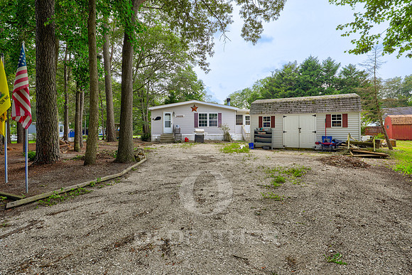 02-24206 CELTIC ST-2