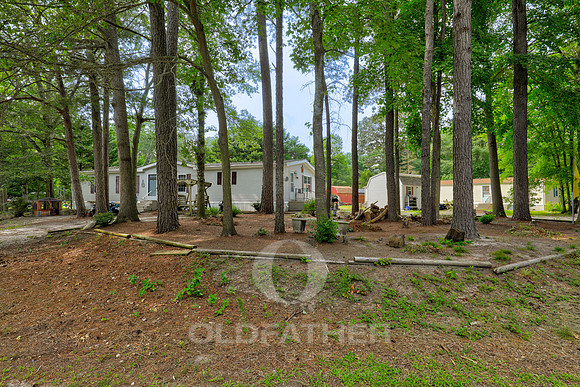 04-24206 CELTIC ST-4