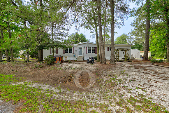 03-24206 CELTIC ST-3