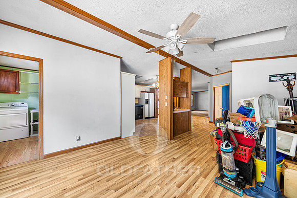 19-24206 CELTIC ST-19