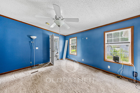 24-24206 CELTIC ST-24