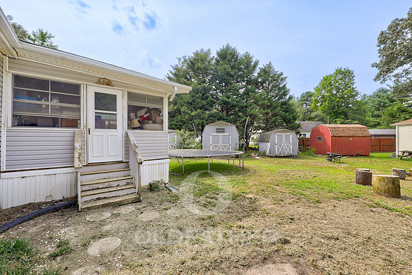 31-24206 CELTIC ST-31
