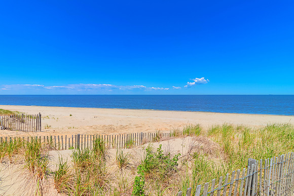 BAYSHORE-PRINT-025