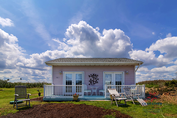SHORE9026-PRINT-005