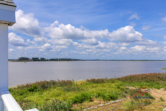 SHORE9036-PRINT-008