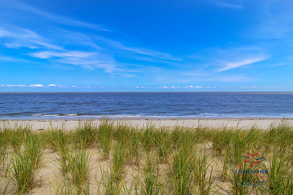 SHORE9036-PRINT-011