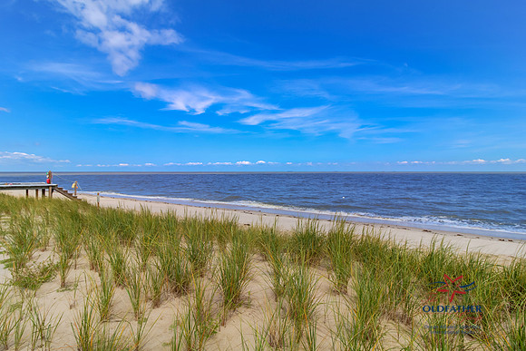 SHORE9036-PRINT-012