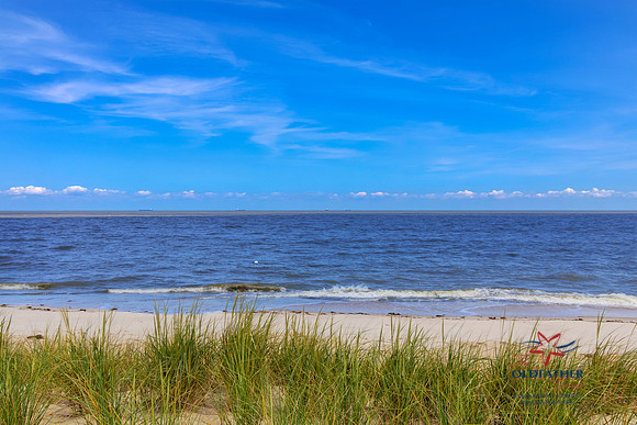 SHORE9036-PRINT-013