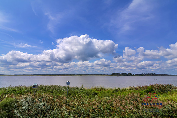 SHORE9036-PRINT-038