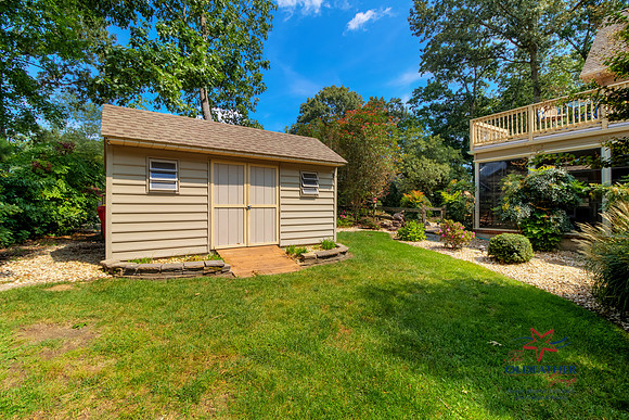 HOLLYTREE-PRINT-009