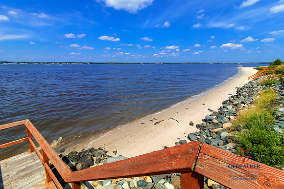 HOLLYTREE-BEACH-PRINT-003