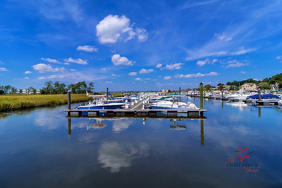HOLLYTREE-MARINA-PRINT-001a