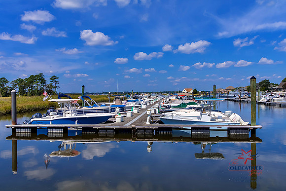 HOLLYTREE-MARINA-PRINT-003