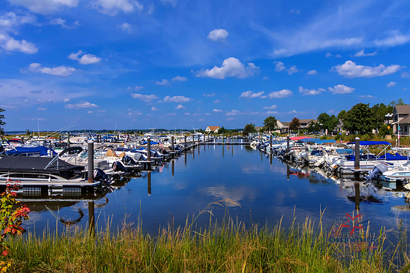 HOLLYTREE-MARINA-PRINT-004
