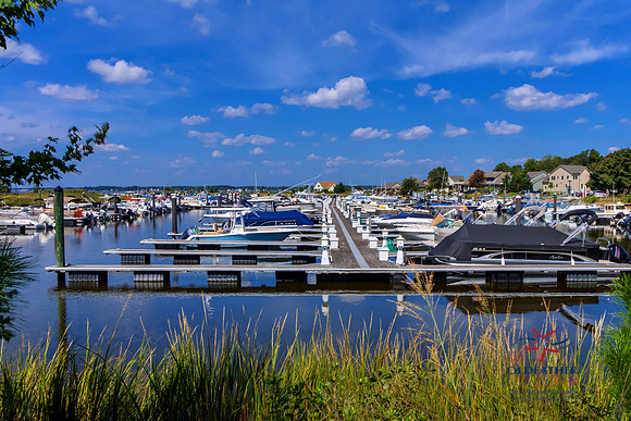 HOLLYTREE-MARINA-PRINT-005