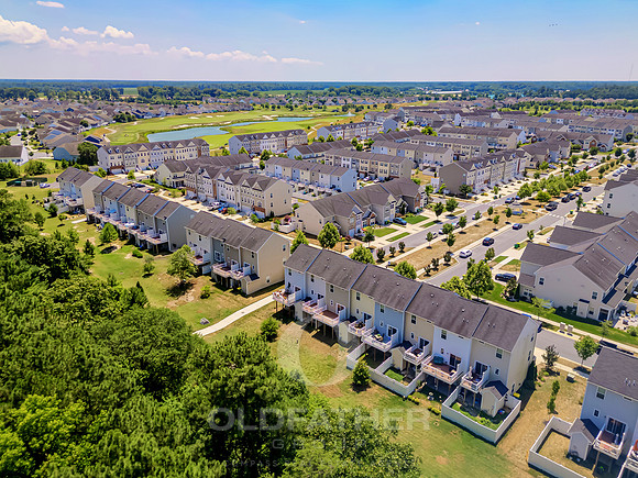 BRUNSWICK-20936-PRINT-028