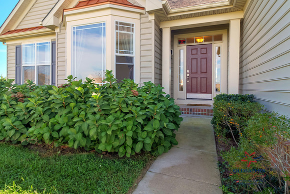 PARKTERRACE-PRINT-006