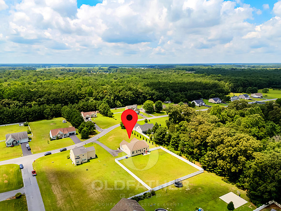 COUNTRY-MEADOW-25951-PRINT-007B